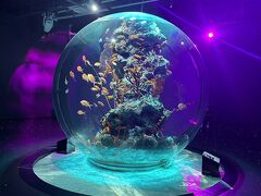 2024年4月神戸平日一人旅～都市型水族館「atoa」・ANAクラウンプラザホテル神戸～