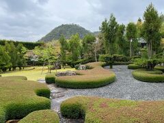 花まつりめぐり～遣迎院・源光庵・雨宝院・京都府庁旧本館編～