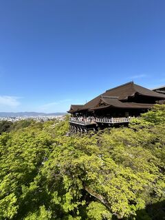 神戸・京都・奈良３日で８万５千歩【ダイジェスト⑦】この風景が見たかった、"清水寺" ！
