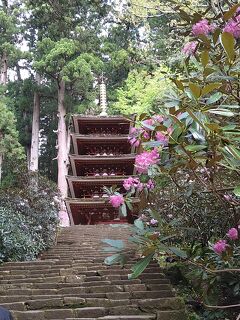 女人高野