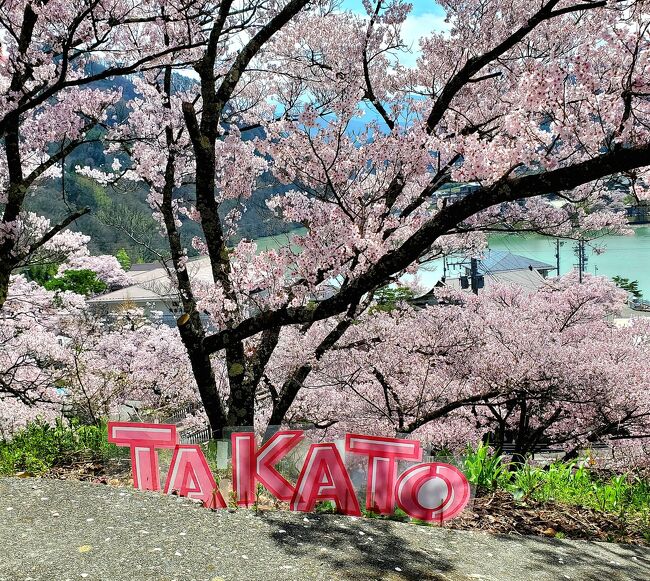 高遠の桜、<br />昔から知ってはいたものの、アクセスがなかなか大変。<br />そんな中、東京発日帰りバス旅で、<br />ピッタリのツアーを発見。<br />しかも、当日が、満開日で晴天という幸運でした。<br /><br />どちらも初めて行く場所で、下調べが甘く、<br />どこで撮るべきか分からず、うろうろ(笑)<br /><br />高遠にある、悲劇の舞台、絵島囲い屋敷。<br />そして、光前寺の霊犬早太郎伝説。<br /><br />美しい桜のほか、<br />昔話も、ちょっとお読みいただければ幸いです。<br /><br />拙い文章で、伝わりづらい部分は、<br />悪しからずご了承下さいませ(*´∀人)<br /><br />