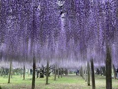 張り切ると雨を降らす女たちが行くおとなの遠足　2024春の巻