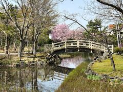 2024.04　岩見沢・栗山、ローカル桜名所めぐり