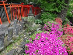上野老舗グルメ巡り　東京春の花まつり　