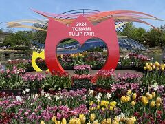 春を彩る花の祭典国内最大級「となみチューリップフェア」