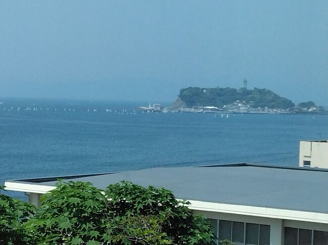 一度は泊まってみたいプリンスホテルに大盤振る舞いしてみました。七里ガ浜の潮風と鳥の鳴き声にゆったりリトリート♪