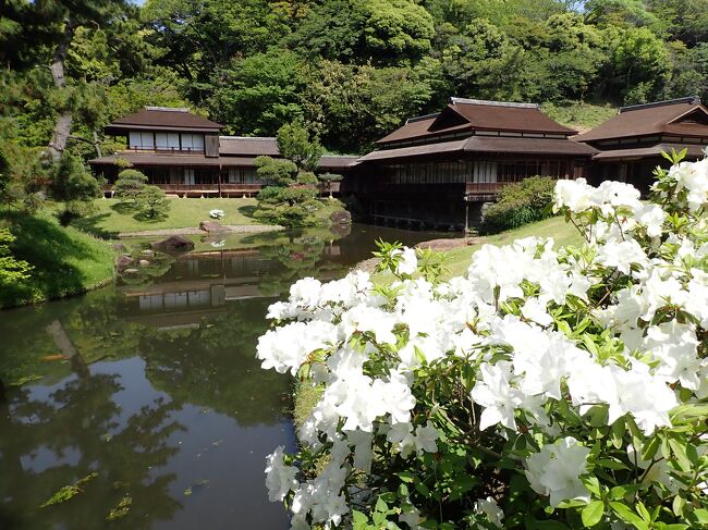 前から行きたかった場所です。<br />横浜の実業家・原三渓（本名富太郎）が造り上げた広さ175.000㎡（53000坪）の日本庭園です。<br />京都や鎌倉などから集められた17棟の歴史的建造物が日本庭園の中にあります。<br />連休中でしたがあまり訪れる人も多くなくゆっくりとできました。<br /><br />https://youtu.be/TcXodUyNpH0