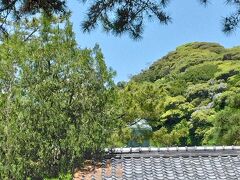 初夏のかまくら　長谷から鎌倉駅まで歩く