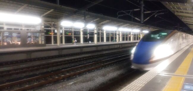 高崎に日帰り出張<br />今月2度目<br />行き帰り共に上越新幹線たにがわを利用しました