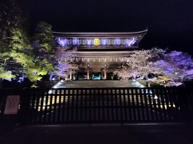 ラウンジに行ったあとは夜のライトアップを見に<br />前回、前を通った知恩院に行ってみました。<br />円山公園の枝垂れ桜も葉桜でしたが綺麗でした。