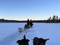 オーロラを求めて　冬のフィンランド４　サーリセルカで犬ぞりとオーロラツアー