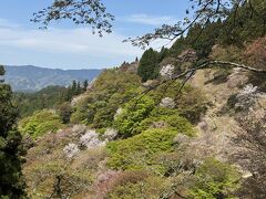 【2024】日本有数の桜の名所である吉野山　旅行記【日帰り】