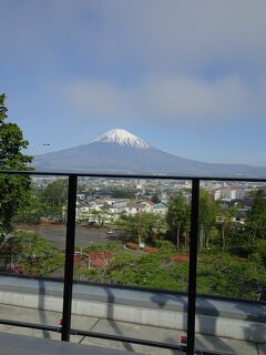 【車旅】天然温泉 富士桜の湯「ドーミーインexpress富士山御殿場」