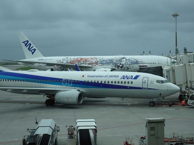 今まではANAプラチナ会員でしたが、2023年は出張も多く、ついに2024年度4月からANAダイヤモンド会員になれました！<br />もともと4月に沖縄旅行を計画していたのですが、今回はダイヤモンド会員ということで、通常の沖縄旅行＆ANAダイヤモンド特典を満喫してきました。<br /><br />行きは、ANA463便(Boeing 777-200）7:35羽田発　那覇行き（何と！　4/9は、「鬼滅の刃　じぇっと-参-」の最終運航日でした）　帰りは、ANA1134便（Boeing 737-800）20:50那覇発　羽田行き　です。<br /><br />1泊目は、レクー沖縄北谷スパ＆リゾート（メイン棟スーペリアルーム）<br />2～3泊目は、カヌチャリゾート（ノースウイング）<br />4～5泊目は、ANAインターコンチネンタル万座（クラブルーム）<br /><br />しかし、行きの早朝東京は大雨・・・、まあ車で羽田まで移動なので、濡れたりなどの問題は無いのですが・・・。　でも沖縄は雨ではないとのことで、気を取り直してダイヤモンド満喫沖縄旅のスタートです！　<br /><br />1日目：自宅→　クルマで羽田空港→　羽田ANAスイートラウンジ→　ANA463便　羽田7:35発→　10:40　那覇空港到着→　ゆいレールにておもろまち駅→　ニッポンレンタカーおもろまち営業所（トヨタ　ヤリス　ブルー）→　北谷アメリカンビレッジ→　ポーたまおにぎりの昼食　まで　<br /><br />1日目後半：アメリカンビレッジ散策続き→　レクー沖縄北谷スパ＆リゾートチェックイン→　ステーキ88にてステーキの夕食→　アメリカンビレッジのきれいな夜景を堪能→　ホテル泊<br />https://4travel.jp/travelogue/11900352<br /><br />2日目：レクー沖縄北谷スパ＆リゾートの美味しい朝食ブッフェ→リモートで仕事→チェックアウト→ビオスの丘→カヌチャリゾートチェックイン→カートでリゾート内散策→居酒屋くすくすにて沖縄料理の夕食→ホテル泊<br /><br />3日目：カヌチャリゾート（パラディ）の美味しい朝食ブッフェ→名護パイナップルパーク→ホテルへ戻って園内をカートで散策→神着にて琉球料理の夕食→ホテル泊<br /><br />4日目：カヌチャリゾート（神着）の美味しい和食→チェックアウト→道の駅許田→万座毛→ANAインターコンチネンタル万座チェックイン→アフタヌーンティー→イブニングカクテル→ホテル泊<br /><br />5日目：ANAインターコンチネンタル万座　クラブラウンジの美味しい朝食→リゾート内散策で満喫→アフタヌーンティー→イブニングカクテル→ホテル泊<br /><br />6日目：ANAインターコンチネンタル万座　クラブラウンジの美味しい朝食→リゾート内散策→レイトチェックアウト→Jimmys→ニッポンレンタカー返却→那覇空港→お土産購入→那覇ANAスイートラウンジ→ANA1134便　那覇20:50発→23:10　羽田空港到着→自宅へ