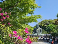 新緑の鎌倉旅ラン10キロ