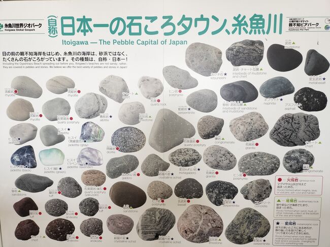 能登半島地震で被害に遭われた方々に、お見舞いを申し上げます。<br /><br />北陸応援割を利用して、3月は3泊4日で富山と新潟に行きました。<br />その2は、新潟の旅行記です。<br />新潟でしたいことは2つ。<br />糸魚川で旧国道を歩くことと、海岸の石を拾うこと。<br />吹雪で観光がままならない時間を避けて、晴れ間にきれいな石をゲット。<br />レンガトンネルは2回チャレンジしたものの・・