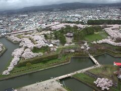 春の”道南”「函館・松前・札幌・小樽」桜巡り！！