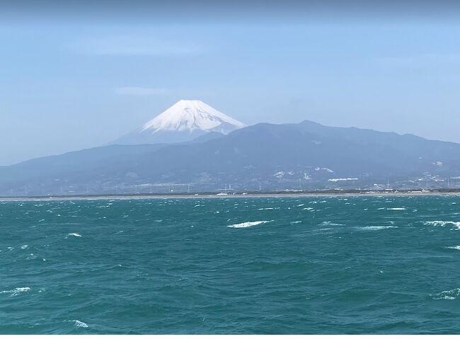 朝早く起きて快晴の青空だったので、海を眺めに出かけたくなり、せっかくなので海から富士山を展望することに。<br />沼津港の遊覧船からみる富士山は、頂上付近に白く輝く残雪が残り、絵葉書のような絶景でした。