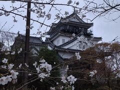 雨で強風の岡崎城　200303愛知①