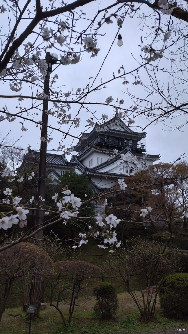 雨で強風の岡崎城　200303愛知①