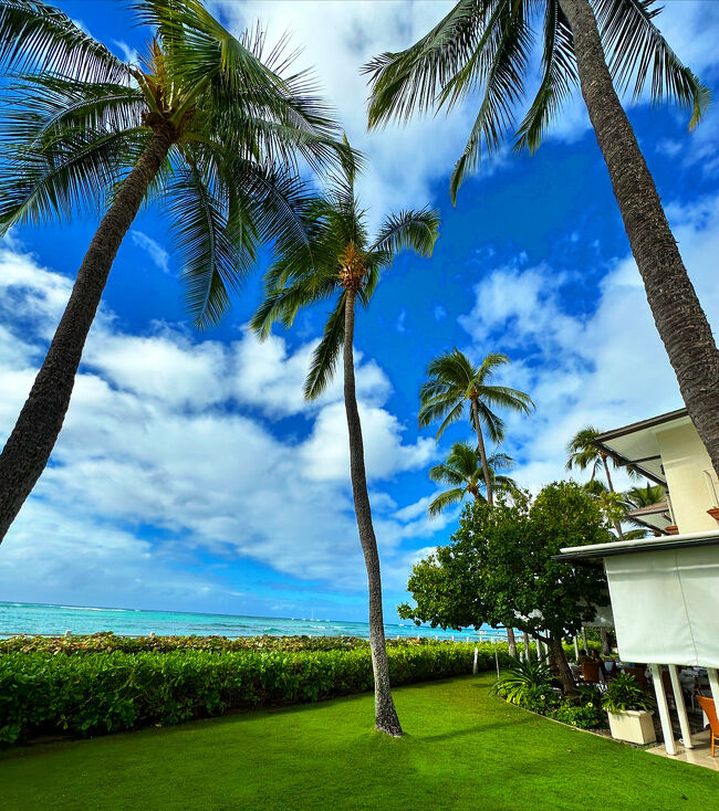 Aloha～御座います(^ ^)<br /><br />もう、良い加減にしろよ！状態の Hawaiiです<br />昨年2023年は。。４回<br />今年は。。多分３回の予定<br />ま、どうなる異常者なのでね (^^;)<br /><br />今回の1月 Hawaiiは<br />何と1週間前にポチリ<br />行く気は10%ほどだったのですが<br />AIR、Hotelと良い感じに揃ったので<br />ほぼ酔った勢いで決めました(あはは)<br />その為、ほとんど準備も無し<br />予定も無し<br /><br />ただ、本来なら<br />加賀屋さんからのHawaiiだったので<br />その辺は。。かなり微妙<br />もちろん大きな声では言えず<br />(こんな時に飛ぶなんて。。)<br />ましてやあのJALの火災事故もあり<br />心穏やかではない旅立ちで御座いました<br /><br />そんでもね～やっぱり行ってしまえば楽しいだけのHawaii！<br />5泊と短い旅では御座いましたが<br />AlohaとMahaloが溢れる素晴らしい<br />Hawaii！！でした<br /><br />今回こそは、サクサクと仕上げるつもりなので<br />どうぞ～またかと言わずに。。<br />お付き合いのほど、宜しくお願い致します<br /><br />kiki (^ ^)<br />