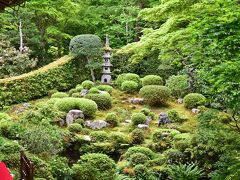 京都の奥座敷、新緑の春景色・京都大原三千院