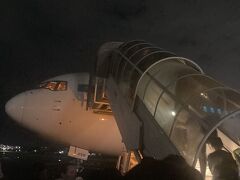 猫旅散開 ⑥［復路～東へ］ウズベキスタン～カザフスタン～韓国～日本