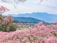 【旅行記】長野県と新潟県を巡る2週間の写真撮影旅行　その１　バスタ新宿～高遠城址公園