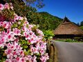 日本最古の電車と美山かやぶきの里へドラクエウォークのお土産取りに