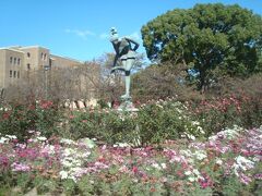 10月下旬の鶴舞公園は、バラ香る公園でした。コスモスも咲いていました。