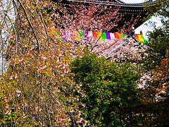 京都-4　知恩院a   友禅苑　友禅染始祖記念/昭和の名園　☆湧き水の池庭園・枯山水の庭園