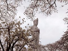 突然に終わった誕生日旅行　白石川堤一目千本桜