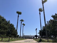 サーフビレッジ クチコミ・アクセス・営業時間|藤沢・江ノ島 サーフビレッジ クチコミ・アクセス・営業時間|藤沢・江ノ島