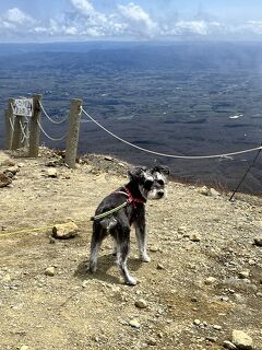 犬旅～福島～