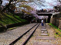 京都-9　蹴上インクライン　さくら並木賑わう　☆傾斜鉄道跡を遊歩道に　花見の名所　