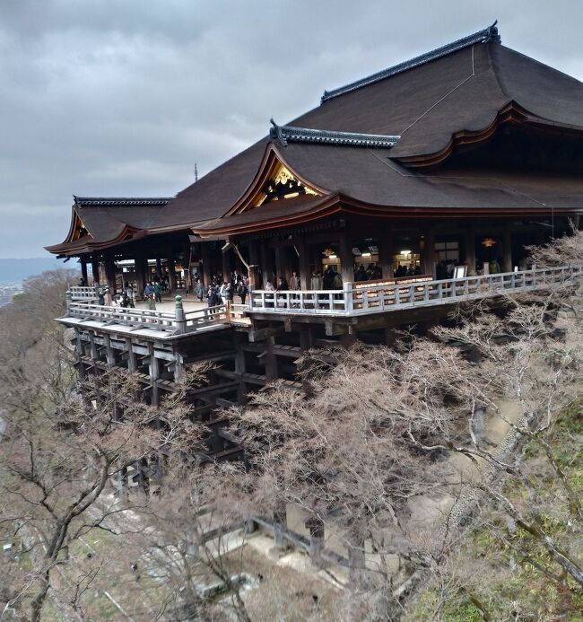 昨年3月、久しぶりに新幹線に乗り京都を訪れましたが、それがあまりにも良かったので味をしめ、今年も旅立ちました。
