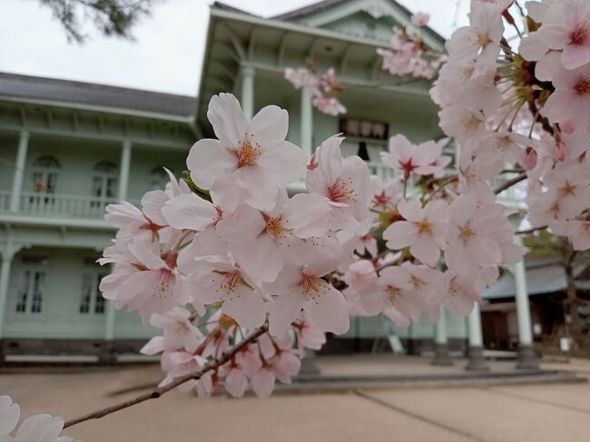95歳になった祖母と、70代の母を連れて春の桜旅•*¨*•.¸¸♬︎ 祖母が行きたがっていた出雲大社と八重垣神社を含めた2泊3日の旅を計画。桜を見るには少し遅いかなと思っていましたが、今年は開花が遅く、満開の桜を巡る桜旅になりました(*^^*)<br /><br />前回からのつづきです(^-^)<br /><br />2日目、足立美術館のあとに八重垣神社に立ち寄り、宍道湖を見渡せるホテル一畑に宿泊。<br />最終日は松江城、興雲閣、小泉八雲記念館へ行き、旅の締めくくりは万九千神社へ。<br /><br />何かの参考になれば幸いです(^-^)<br /><br />この旅行記で行ったところ<br />・八重垣神社<br />・ホテル一畑<br />・宍道湖<br />・松江しんじ湖温泉駅<br />・松江城<br />・松江堀川クルーズ<br />・興雲閣<br />・小泉八雲記念館<br />・万九千神社<br /><br /><br />表紙の写真→興雲閣