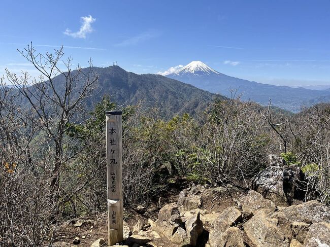 秀麗富岳十二景の本社ヶ丸・清八山に登ってきました。<br /><br />澄んだ青空で富士山や南アルプスの展望が素晴らしかったです。ゴールデンウィーク中でも空いていたので、意外と穴場かもしれません。静かな山歩きが楽しめました。<br /><br />▼ブログ<br />https://bluesky.rash.jp/blog/hiking/honjagamaru.html