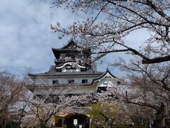 桜と国宝犬山城　202303愛知②