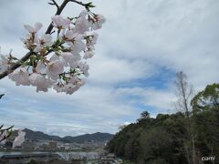 犬山城遠景　202303愛知③