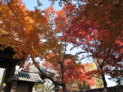 ２０２１年１１月　山口県・宇部市　蓮光寺で紅葉を見ました。
