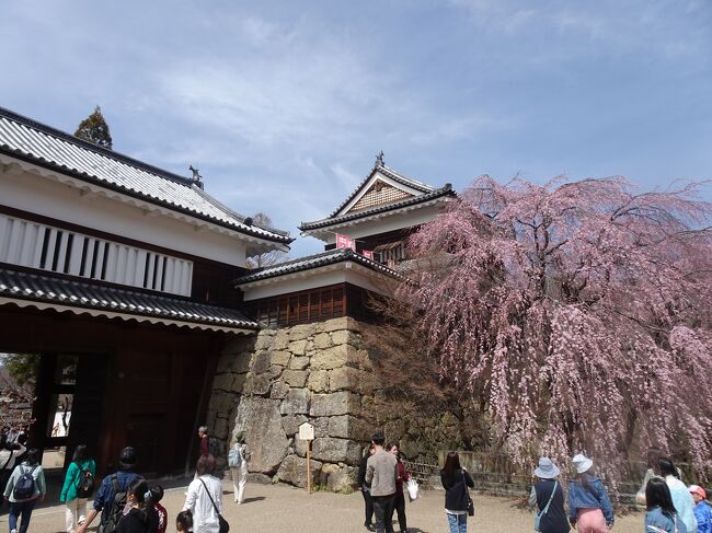上田城は、部分的に桜が咲いていました。<br />10日後に満開になったようですが、私たちが訪れたときはまだまだした。<br /><br />千本桜祭は開催中で多くの屋台が出ていました。<br />まだ少々肌寒い日でしたが、楽しかったです。<br /><br />上田城の次に訪れたのは、すぐ近くのサントミューゼで開催中であった「ヨシタケシンスケ展」。<br />私は全く知らない世界でしたが、相方はファンであったようで、感動していました。<br /><br />芸術には様々な表現スタイルがあって当然だと思っていますが、イラストとスケッチでこのような表現をしているのは面白く興味深かったです。<br />ヨシタケシンスケさんの頭の中に入るような感覚でした。<br />面白かった～
