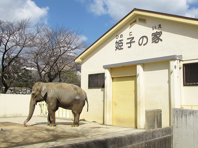 救済データ1【姫路市立動物園　2017/03/17】
