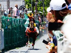 【日本の祭り】多度大社の上げ馬神事に密着！