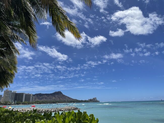 脳内ハワイ率が高過ぎて、ほぼ毎日ハワイのことを考えて生きています。<br />ハワイ回数と年齢を重ねるごとに、記憶がごっちゃになって消えてゆく…そのため、備忘録を兼ねた記録です。<br />今回は2023年9月ハワイ13泊15日本編⑧です。