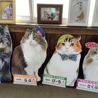 福島どうでしょ!　猫駅長に見送られて大内宿へ編