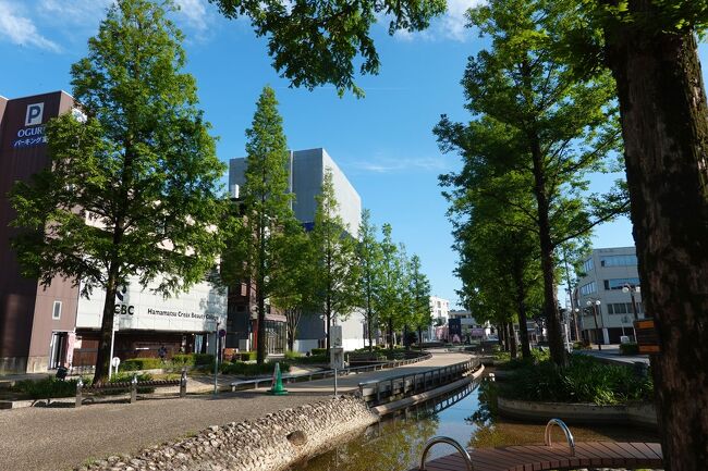“浜松まつりに行って来ました (2024.05.03) ”の第2回目で“浜松駅周辺を早朝散歩”です。<br />毎日の日課の散歩を午前06時20分頃から午前07時50分頃まで、約1.5時間歩きました。<br /><br />★浜松市役所のHPです。<br />https://www.city.hamamatsu.shizuoka.jp/index.html<br /><br />★浜松まつりのHPです。<br />https://hamamatsu-daisuki.net/matsuri/<br /><br />※位置情報、今回は土地勘も殆どないところなので間違っている可能性があります。ご了承下さい。