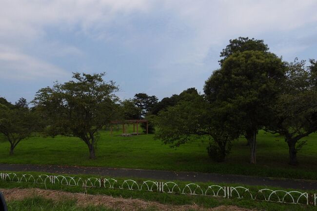 　稲敷市浮島地区の和田公園周辺でバードウォッチングを楽しみました。<br /><br />表紙写真は、稲敷市浮島地区の和田公園の風景です。<br />