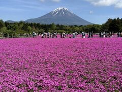 HISバスツアー 春の山梨二大名所へ！富士の麓を春色に染める「富士芝桜まつり」編