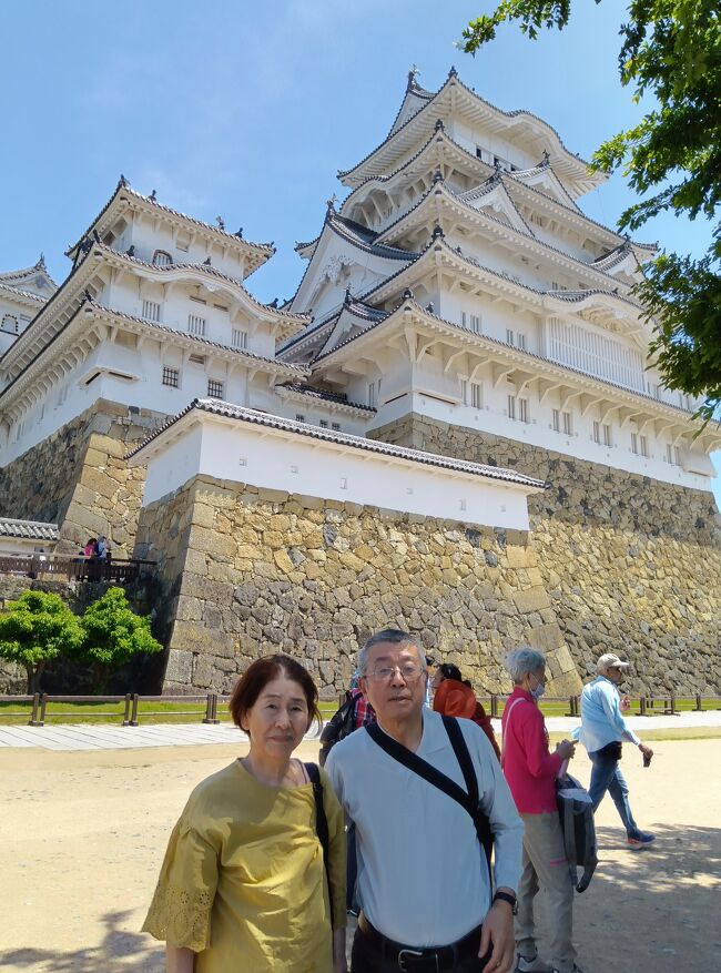 今回の旅行の最後の行程は、倉敷から姫路城でした。姫路城は国宝で、世界遺産のせいか、すごい数の外国人でした。スペイン語、フランス語が飛び交っています。<br /><br />天候もよく、入場料の１０００円は安いという思いでした。中では特別公開のところもあり、天守の６階までは、階段がきついですが、下りも大変混んでいました。１０時から１１時までの見学時間が駐車場から距離を考えるとちょっと少ない感じで、歩きっぱなしでした。<br /><br />帰りのインターでは、丹波篠山の黒豆パン２８０円と丹波笹のおにぎり４８０円でした。それをバスの中での昼食で済ませ、敦賀にむかいました。４日目とはいえ、毎日高速道路をバスで中国山脈を横断してきた感じです。<br /><br />敦賀からは、北陸新幹線で、途中の金沢ではくたかに乗り換えます。ここで２０分の待ち時間があるので、金沢のエビマヨ弁当二つ１７２８円を買い、自宅で帰ってから二人で食べました。